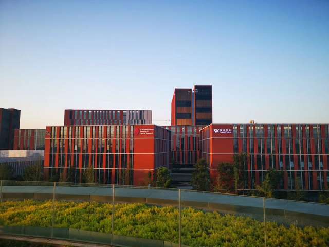 民用高性能石墨烯改性纤维厂家